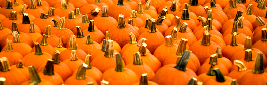 Fall - Pumpkins