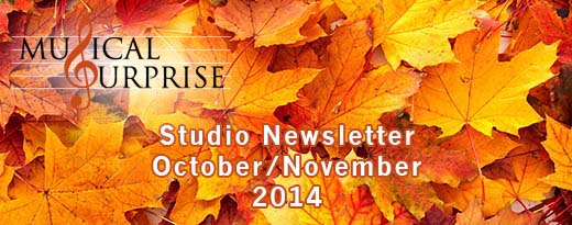 Studio Newsletter Oct/Nov 2014