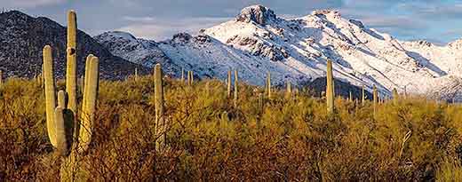 Arizona Mountains in Snow - Rob Travis